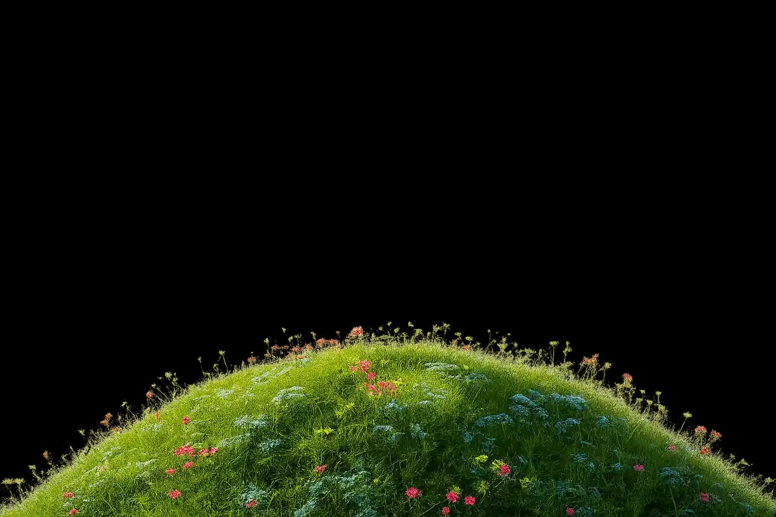 Grassy hill